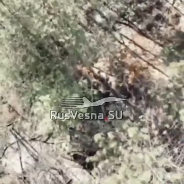 Ukraine Russia war combat/related footage 12/7/2025