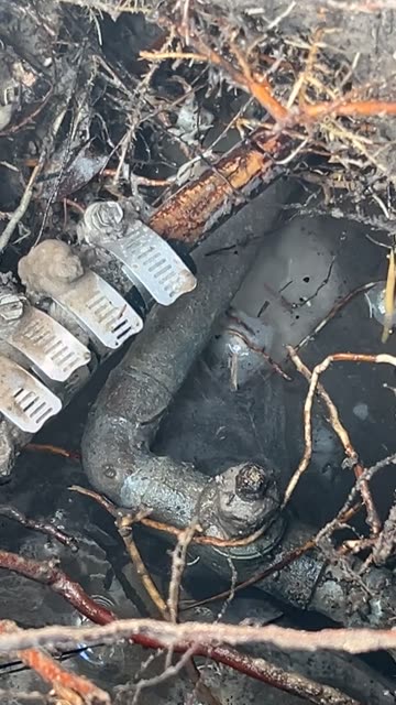 Getting To The Root Of The Problem