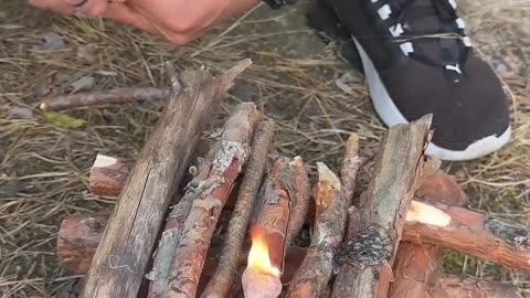Survival Skills: Styrofoam vs Gasoline💯