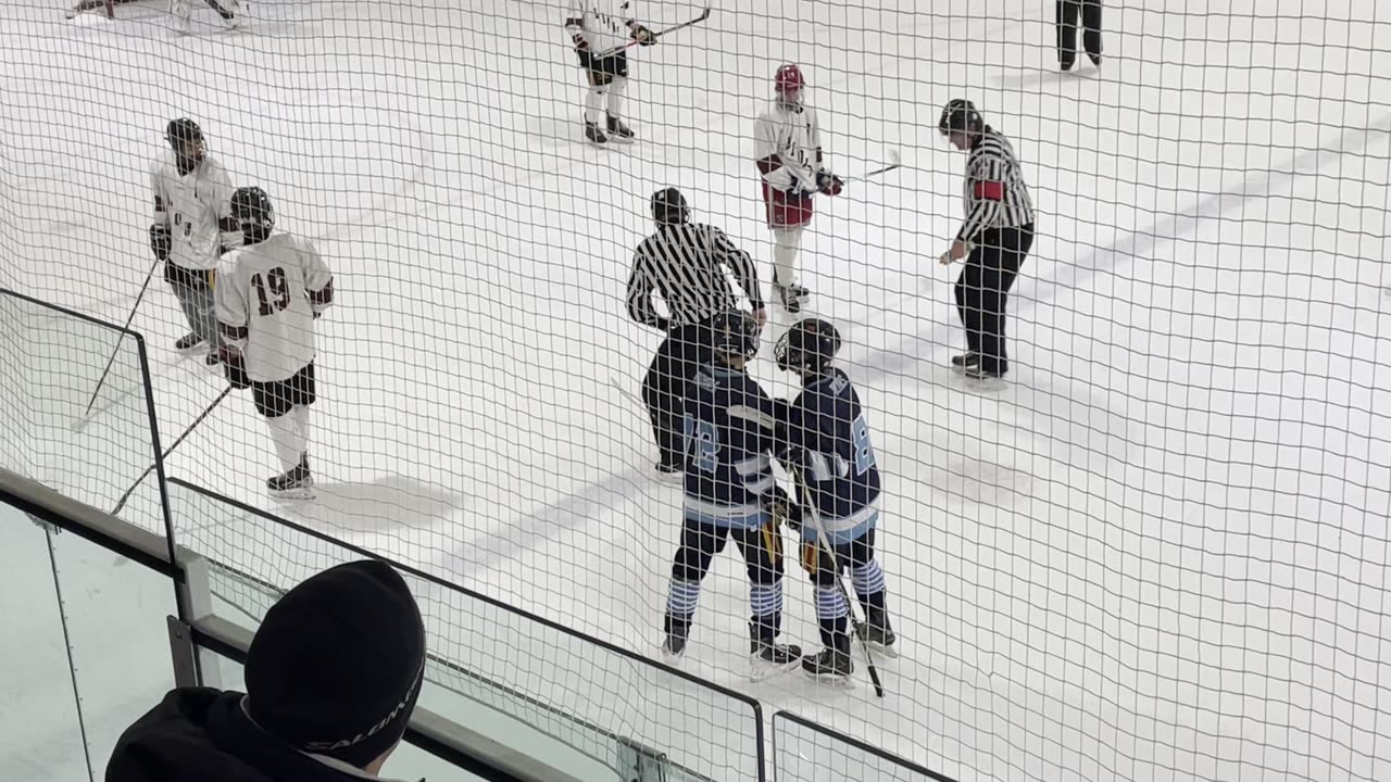 Royals v Lions Nov 19