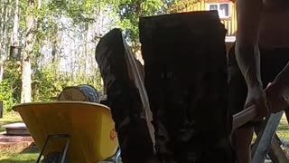 Shirtless Wood Splitter_ Do As I Say, Not As I Do! #choppingchallenge