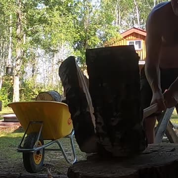 Shirtless Wood Splitter_ Do As I Say, Not As I Do! #choppingchallenge