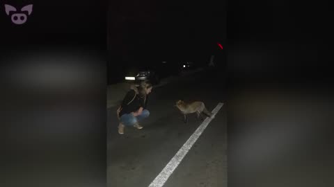 Ghost on the Road. 👻 - Slapped Ham Shorts