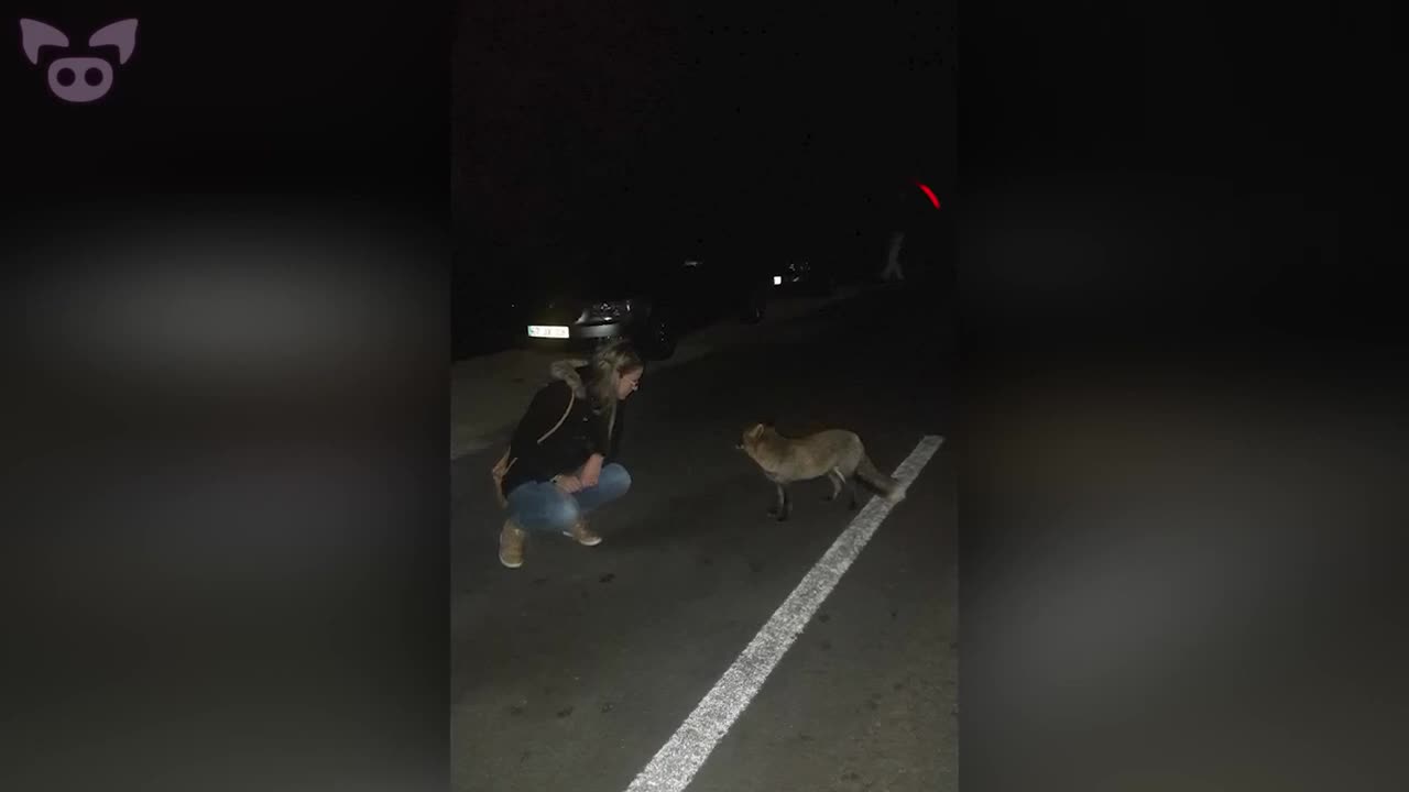 Ghost on the Road. 👻 - Slapped Ham Shorts