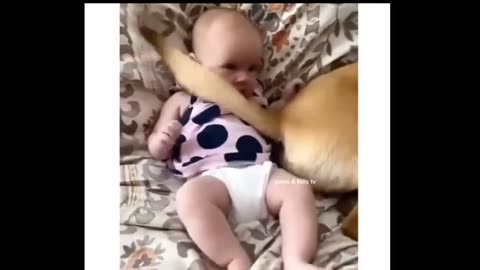 🔥 You Won’t Believe What Happens Next! | Must-See Video 🔥