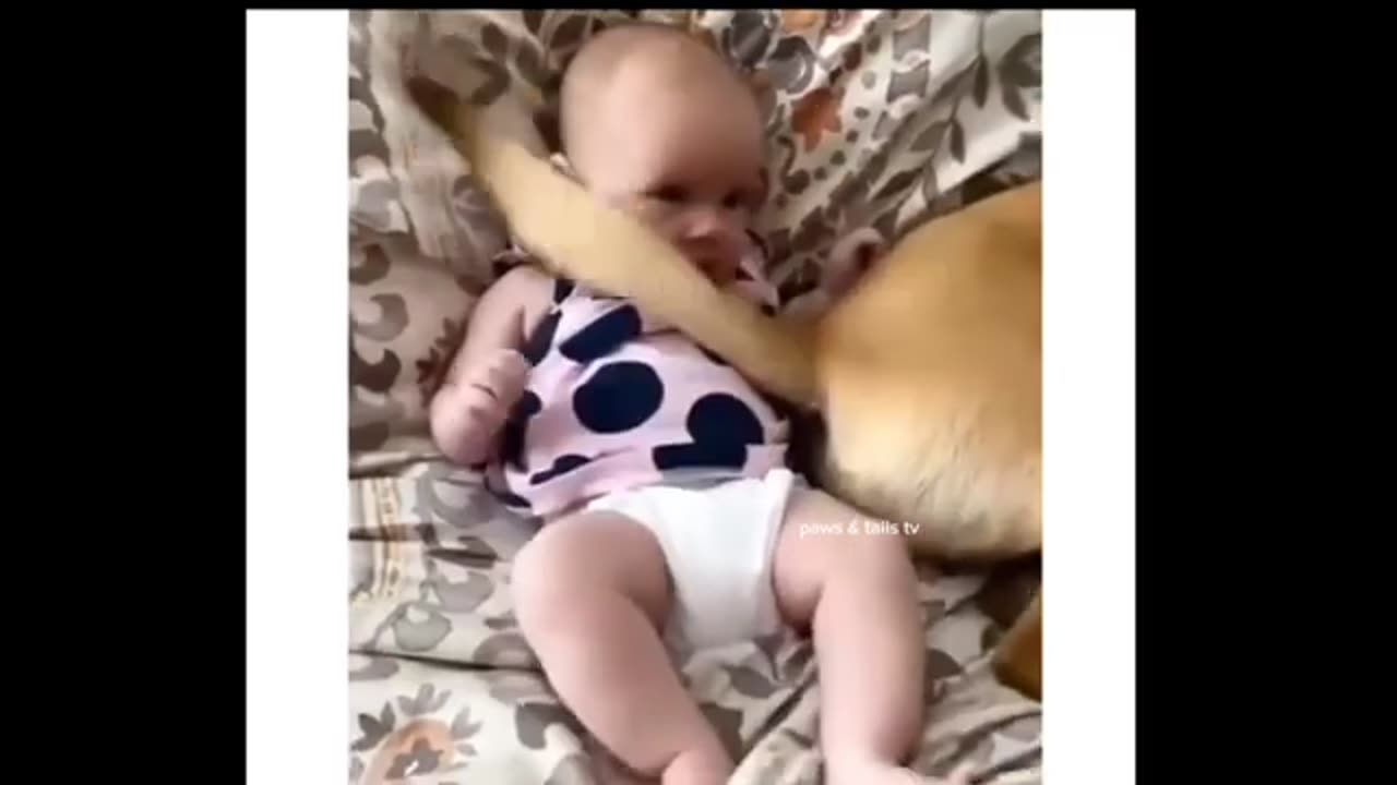 🔥 You Won’t Believe What Happens Next! | Must-See Video 🔥