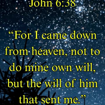 John 6:38