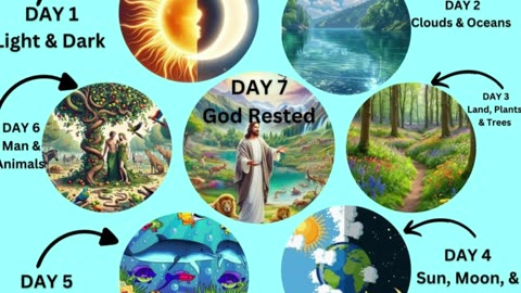 Fr. Hewko, Book of Genesis: Chapter 1, 1/27/26