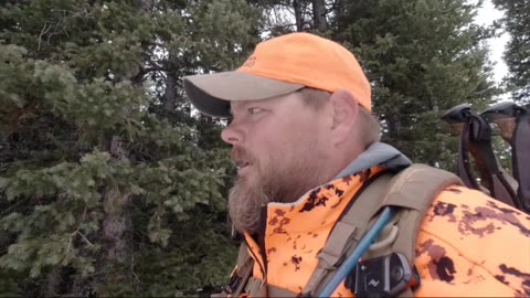 Upbeat Thoughts While Elk Hunting