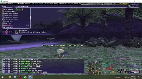 Playing Final Fantasy XI Online