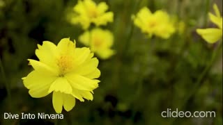 DEAD PREZ - Happiness (VIDEO)