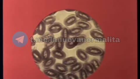 Un Mondo SENZA CANCRO