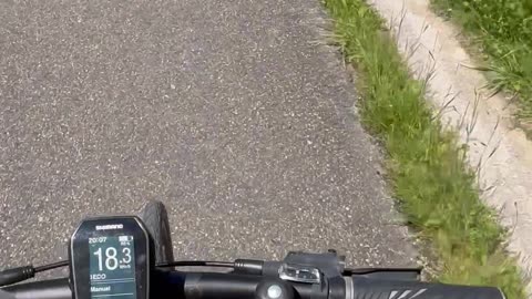Chihuahua Pup Helps Pedal Bike