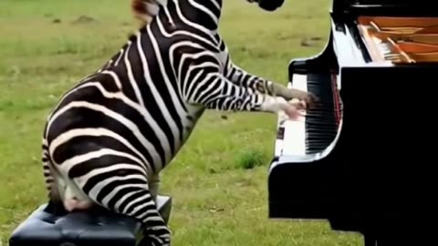 #ai #animal #piano #fyp
