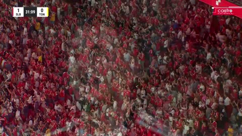 resumo benfica tondela