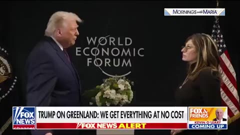 'TOTAL ACCESS': Trump Reveals New Details On 'Framework' Greenland Deal