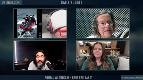 Animal Wednesday - Barf Bag Sandy