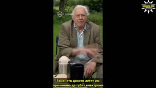 Всичко живо си взаимодейства с енергия