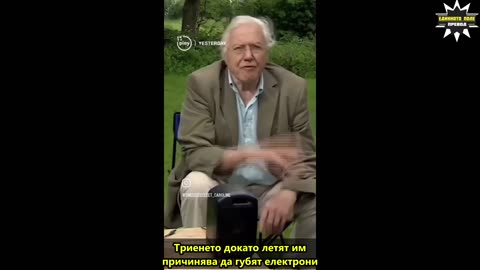 Всичко живо си взаимодейства с енергия