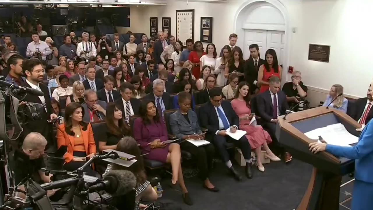 Karoline Leavitt: No Efforts Have Been Made To Cancel Elonmusk 's Government Contracts