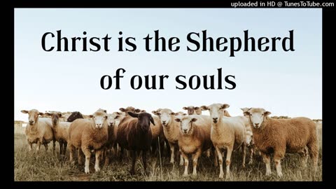 Christ as our Shepherd gives us rest to our soul