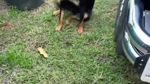 🤣💥 He is Excited About It! | FunFM