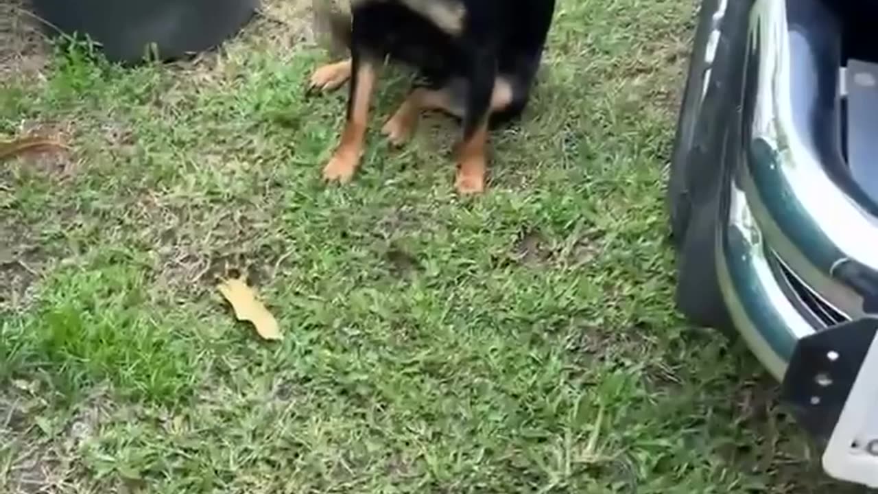 🤣💥 He is Excited About It! | FunFM