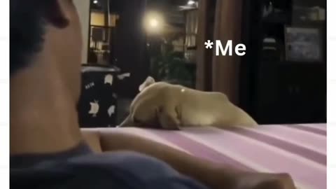 Very special video