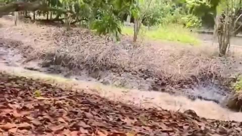 Myanmar’s 7.9 earthquake. Rural chaos unveiled.