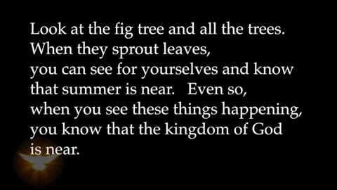 Commands Of Jesus