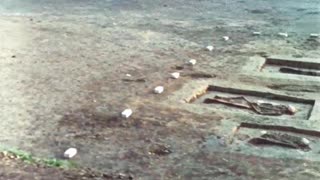 Anglo-Saxon England (1971)-4