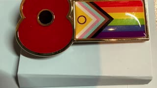 THEY FOUGHT FASCISM FOR THIS #poppy #veterans #rememberance #meme #memes #trending