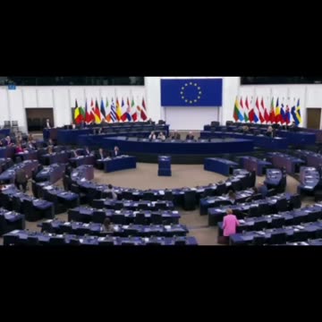 Diana Șoșoacă în Parlamentul European - 01 aprilie 2025 - ora 17:20