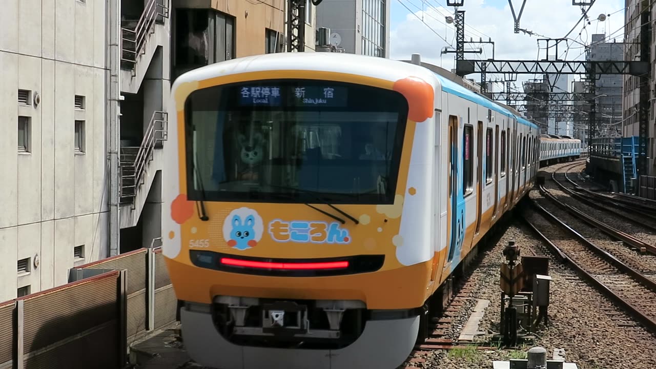 Odakyu Blue Rabbit train