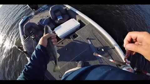 Hopedale, Long rocks, MRGO fishing!
