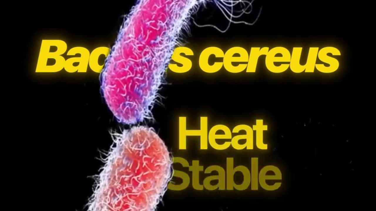 Sneaky starches = 🤢🤢