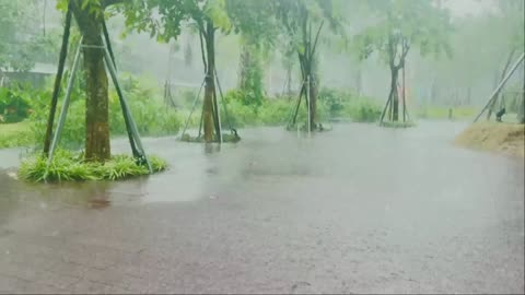 Relaxing Rain Ambience for Stress Relief and Better Sleep