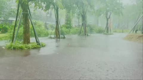Relaxing Rain Ambience for Stress Relief and Better Sleep