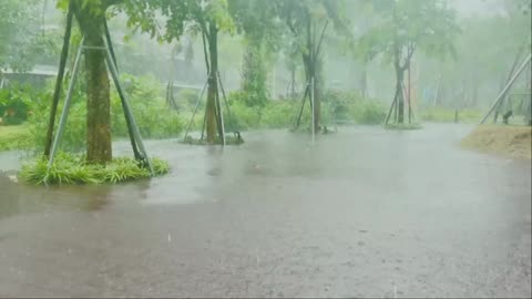 Relaxing Rain Ambience for Stress Relief and Better Sleep