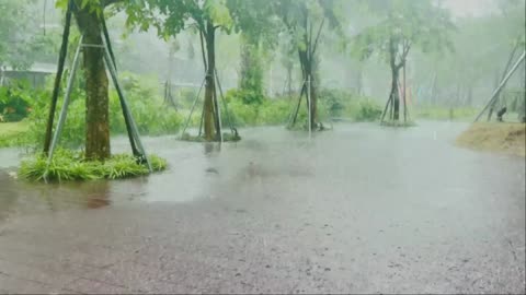 Relaxing Rain Ambience for Stress Relief and Better Sleep