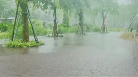 Relaxing Rain Ambience for Stress Relief and Better Sleep
