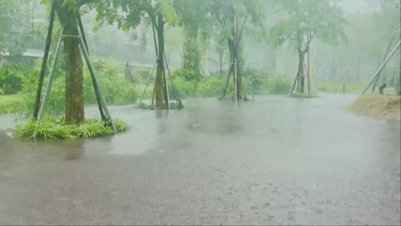 Relaxing Rain Ambience for Stress Relief and Better Sleep