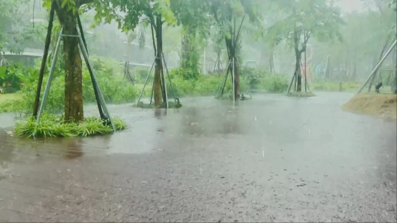 Relaxing Rain Ambience for Stress Relief and Better Sleep