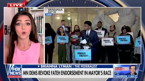 Lyman: Dems Overturning Their Own Elections After Fraud Allegations