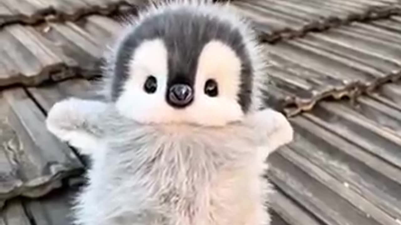 hehehe, so cute
