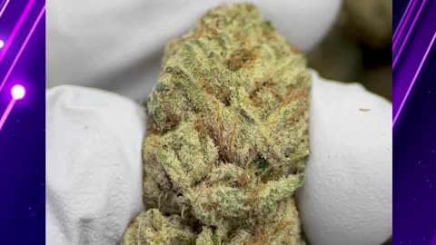 Purple Zkittlez THCa Flower | Indica Hybrid | Berry Candy | Euphoric Creative Chill | Bulk #thca