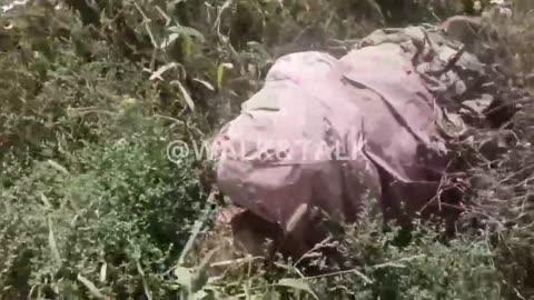 Ukraine war combat footage 9/15/25