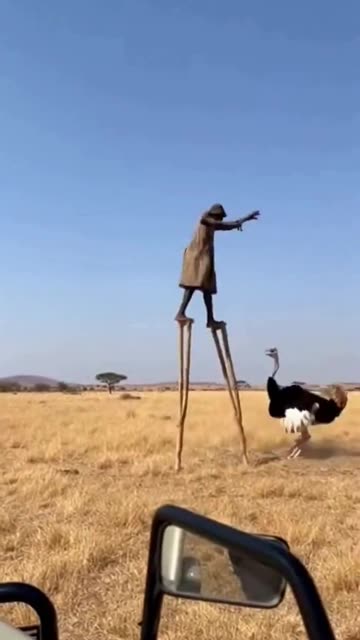 Wait for 0:08... 😱 Stilt Walkers vs Cheetah Chase (CRAZY ENDING) #funnyanimals #wildlife #horror