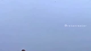 Unexpected Dive! 🤯 You Have to See This! | FunFM