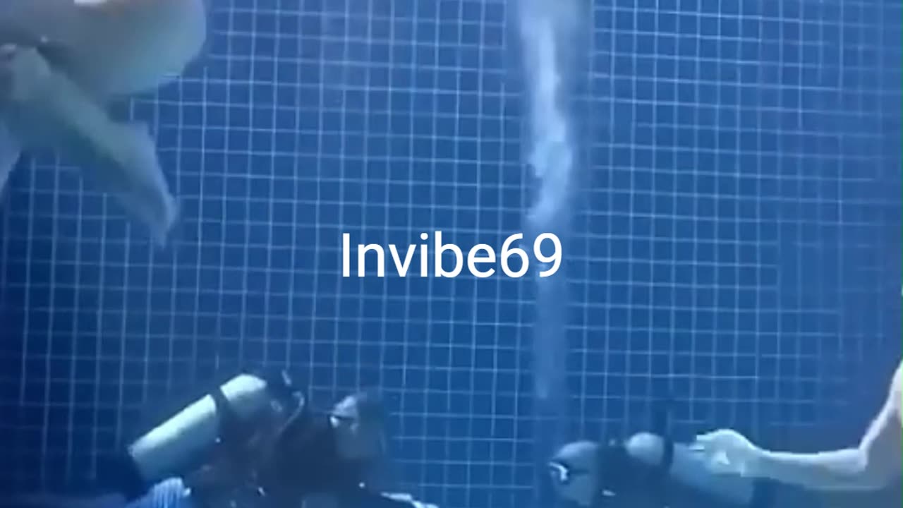 Funny Moments